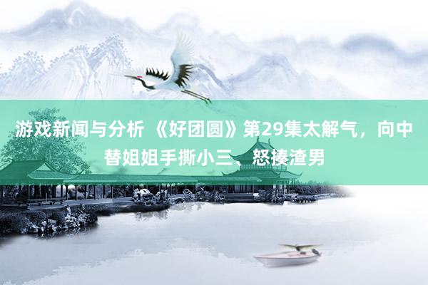 游戏新闻与分析 《好团圆》第29集太解气，向中替姐姐手撕小三、怒揍渣男