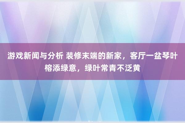 游戏新闻与分析 装修末端的新家，客厅一盆琴叶榕添绿意，绿叶常青不泛黄