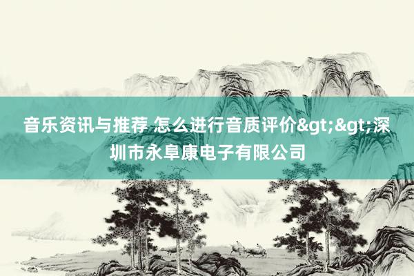 音乐资讯与推荐 怎么进行音质评价>>深圳市永阜康电子有限公司